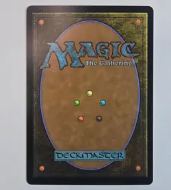 Shadow the Hedgehog (Rainbow Foil) 2086 Secret Lair Drop Series MTG LP - Image 2