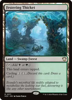 NM Festering Thicket, MTG, Strixhaven Commander, Magic the Gathering, 371 - Image 1