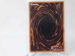 YuGiOh Evigishki Tetrogre HA06-EN018 1st Edition Secret Rare NM - Image 2