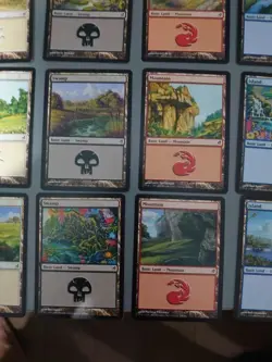 Full Basic Land playset. All 20 cards MTG Card. Lorwyn. 1 of each - Image 3