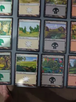 Full Basic Land playset. All 20 cards MTG Card. Lorwyn. 1 of each - Image 4