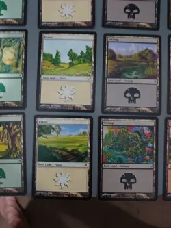 Full Basic Land playset. All 20 cards MTG Card. Lorwyn. 1 of each - Image 5