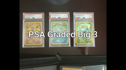 100% Complete Base Set 102/102 Vintage Master Pokemon Cards HOLO Charizard PSA 6 - Image 2