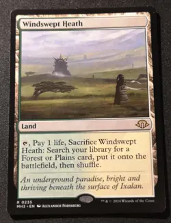 Windswept Heath - MH3 - MTG - NM - EN - 0235 - Image 1