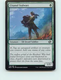 Citanul Stalwart - C175 - MTG - The Brothers' War (BRO) - Image 1