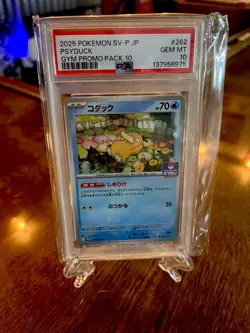 2025 Psyduck 262/SV-P Gym Promo Pack 10 Sv-p Promo Pokemon Japanese PSA 10 - Image 3