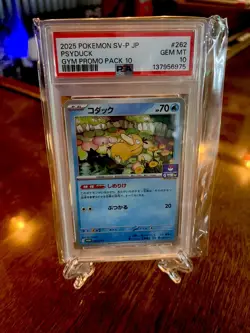 2025 Psyduck 262/SV-P Gym Promo Pack 10 Sv-p Promo Pokemon Japanese PSA 10 - Image 4