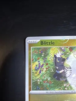 Blitzle 031/086 Poke Ball Pattern Pokemon SV: White Flare Holo - Image 4