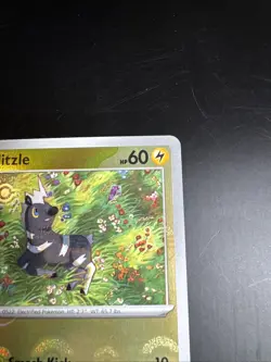 Blitzle 031/086 Poke Ball Pattern Pokemon SV: White Flare Holo - Image 5