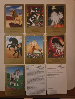 Bella Sara Card Lot Assorted Foils, Regular, Series - Image 2