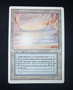 Wizards of the Coast Underground Sea Revised Dual Land U/B Regular Rare ENG - Image 1