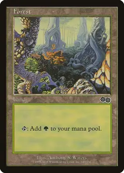 Lot of 20x Forest #349 - USG Urza's Saga Basic Land MTG Magic PL - Image 1