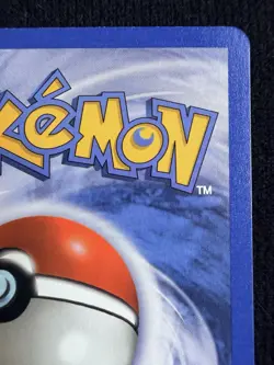 Pokemon Marshtomp WINNER 011 Nintendo Black Star Promos Promo - Image 5