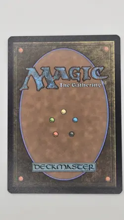 Spider-Punk (Borderless) - Marvel's Spiderman (SPM) MTG - Image 2