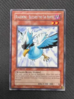 Yugioh Blackwing - Blizzard the Far North 1st Edition Rare RGBT-EN010 LP - Image 1
