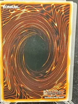 Yu-Gi-Oh! Tribe-Infecting Virus DR1-EN131 R MP - Image 2