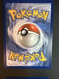 Pokemon TCG: First Partner Illustration Collection Series 2 Full Set (9 Cards) - Image 4