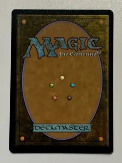 PIZZA LANDS SET ** 1 SURGE FOIL PLAINS ** 14 FOILS ** MAGIC THE GATHERING TMNT - Image 2
