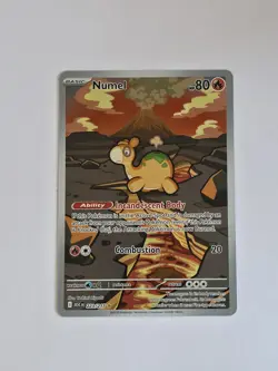 Numel 223/217 - Pokemon TCG: Ascended Heroes - Illustration Rare Holo MINT! - Image 1