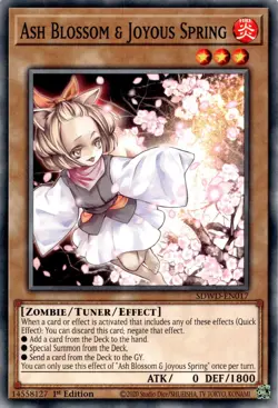 Yugioh Ash Blossom & Joyous Spring SDWD-EN017 Common 1st Edition NM - Image 1