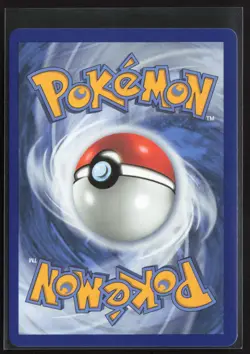 Turtwig 040 Holo Promo ME: Mega Evolution Promo Pokemon Near Mint - Image 2