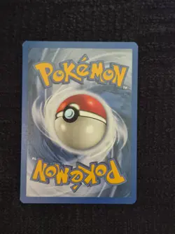 Cyndaquil [1st Edition] #61 Pokemon Neo Destiny NM - Image 3