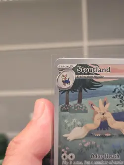 Pokemon TCG - Stoutland (IR) - 156/086 - S&V - White Flare - Near Mint - Image 2