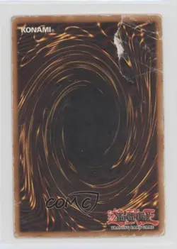 Black Luster Ritual 1st Ed. YuGiOh Starter Deck Yugi Evolution #SYE-025 READ - Image 2