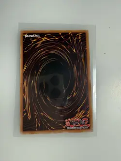 BLC1-EN061 Felis, Lightsworn Archer : Common 1st Edition YuGiOh Card - Image 2