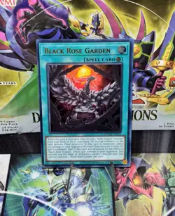 Yugioh Black Rose Garden DOOD-EN055 1st Edition Ultra Rare NM Presale - Image 1