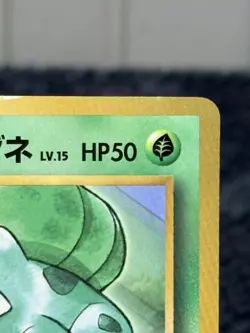 Pokemon Japanese Erika's Bulbasaur Glossy Promo Corocoro Comics No. 001 - Image 2