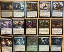 Rona, Sheoldred's Faithful Budget Custom Commander Deck MTG Ready To Play - Image 2