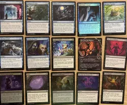 Rona, Sheoldred's Faithful Budget Custom Commander Deck MTG Ready To Play - Image 3