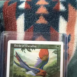 MTG Birds of Paradise 7th Edition 2001 Rare #231 Magic The Gathering SEE📸👀 - Image 2