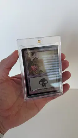 TWO x2 MTG Near Swamp 341 FOIL Onslaught (Magic the Gathering) - Image 2