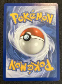 Tepig 050 Promo ME: Mega Evolution 30th Promo Pokemon TCG Holo NM - Image 2