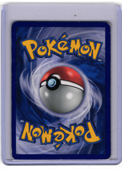 [Swirl]Gyarados Shiny 004 Black Star Promo Pokemon Card Korean HP - Image 2