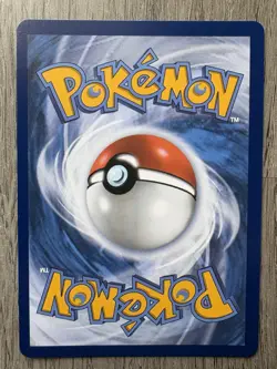 Pokemon First Partner Series 2 Johto Starter Set Chikorita Cyndaquil Totodile #2 - Image 5