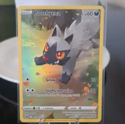 💎 Pokemon - Poochyena GG33/GG70 - Crown Zenith: Galarian Gallery Holo💎 - Image 1