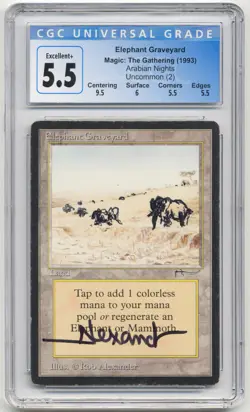Graded Signed Altered Elephant Graveyard Arabian Nights Artist Rob Alexander MTG - Image 1