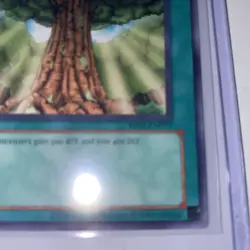 Gaia Power - RP01-EN077 - Common - Unlimited Edition Yu-gi-oh! NM/Mint Condition - Image 3