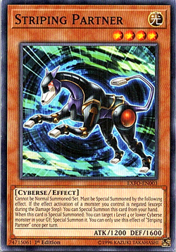 Striping Partner EXFO-EN003 Yu-Gi-Oh! Card Light Play 1st Edition - Image 1