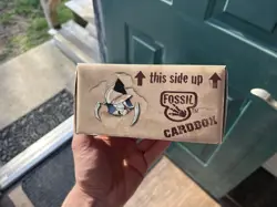 Pokemon TCG WOTC 1999 Fossil Card Box EMPTY Vintage RARE - Image 4