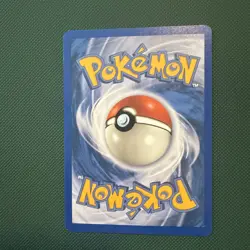 Piloswine 24/144 Skyridge Pokemon Card TCG NM - LP++ - Image 4