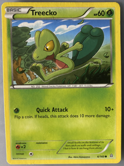 Treecko XY Primal Clash 2014 6/160 Pokemon TCG Common English Free Ship US LP - Image 1