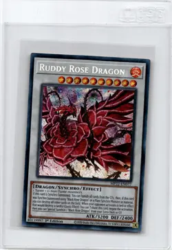 Yu-Gi-Oh! Ruddy Rose Dragon 2022 Tin of the Pharaohs Gods - Image 1