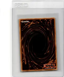 Yu-Gi-Oh! Ruddy Rose Dragon 2022 Tin of the Pharaohs Gods - Image 2