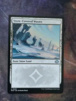 Snow-Covered Wastes - Image 1