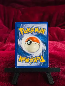 Pokemon TCG - Eevee 54/144 - Non Holo - MP - Skyridge 2003 English - Image 2