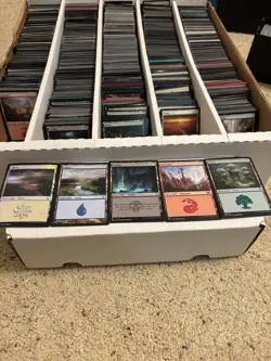 Magic: The Gathering 500 Basic Lands lot (100 of each) - Image 1